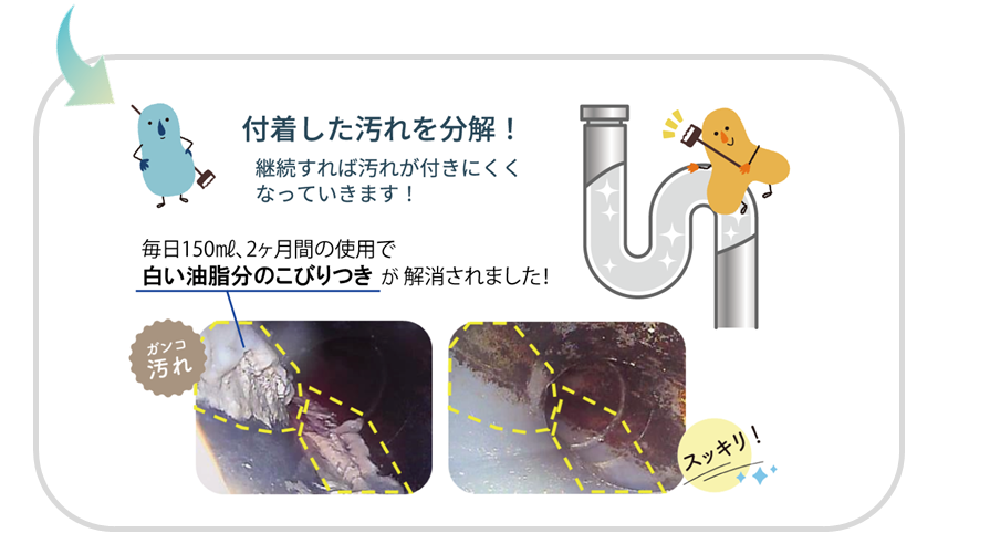 king_haikan